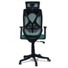 Zeeazyana High Back Ergonomic Chair in Dark Green Colour