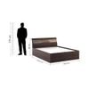 Blaze King Bed With Box Storage
