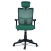 Jeaorda High Back Ergonomic Chair in Dark Green Colour