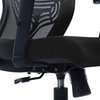 Ebeaony Mid Back Ergonomic Chair in Black Colour