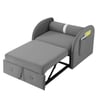 Jayen 1 Seater Pull Out Sofa cum Bed  in Grey Colour