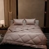 Stoa Paris Comforter Set Double Bed, 300TC Satin Double Bed Comforters in Champa Champagne