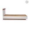 Juda Engineered Wood Single Size Non Storage Bed in Frosty White and Urban Teak Brown