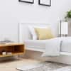 Hexa Engineered Wood Modern Single Bed With Headboard Without Storage In Frosty White