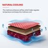 Kurlon Rutile Natural Rubberised Coir Straight Pad Medium Firm PU Foam King Size Mattress (Thickness: 5 Inches, Dimensions: 72 X 72 Inches)