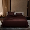 Stoa Paris Super King Size Bedsheet with 4 Pillow Covers  Size Hot Chocolate