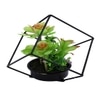 Artificial Succulent Indoor Plant With A Metal Stand