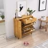 Hexa Red Engineered Wood Shoe Rack in Giant Wood Colour