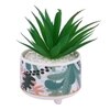 Attractive Aloe Vera Plant With Leafy Print Ceramic Pot