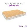 Super Contour ISP Tech. High Tensile King Size Mattress (75 x 70 in, 10 Inches)