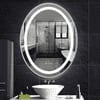 Oval Shape Lighted LED Mirror Modern  Vanity Mirror