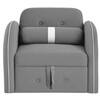 Jayen 1 Seater Pull Out Sofa cum Bed  in Grey Colour