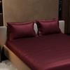 Stoa Paris 300TC UltrSatin Super King Bedsheet Set Satin Super Velvet Wine