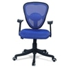 Aaeroa Low Back Ergonomic Chair in Black Colour
