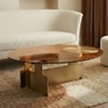 Bonita Glass Coffee Table In Brass  Finish