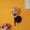Eliante Modern Wall Lights Mild Steel & Glass Material Glossy Black & Clear Crystals Finish