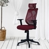 Zeeazyana High Back Ergonomic Chair in Maroon Colour