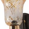 Eliante Modern Wall Lights Mild Steel, Glass & Glass Material Brown,Gold & Golden Finish