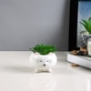 White Cat Planter With Artificial Succulent