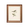 Artistry Brown Greenbirds Frame Canvas Wall Prints Canvas Wall Prints Set of 1 Multicolor Matte