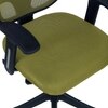 Goolda Low Back Ergonomic Chair in Pearl Green Colour