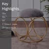 Classic Velvet Ring Metallic Stool in Grey Color Set of 2