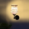 Devansh Metal Electric Wall Light in Black Colour with Multi Shade Count of 1 Light