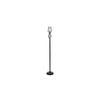 Daenerys Black Glass Shade Floor Lamp