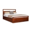 Turner Solid Wood Queen  Size Bed With Box Storage (Dark Oak Finish)