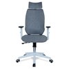 Ssilae High Back Ergonomic Chair in Grey Colour