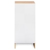 Trudo Modular Shoe Cabinet for 10 Pairs – Modern Space-Saving Shoe Storage Cabinet