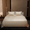 Stoa Paris Double Bedsheet with 2 Pillow Covers sheet with Charming Ivory