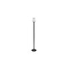 Creed Black Glass Shade Floor Lamp