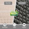 Biolife Ltx Indonesian With Herbfresh Technology
