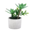 Artificial Succulent Indoor Plant With Ceramic Pot