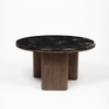 Fluxara Marble Coffee Table In Walnut Finish