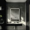 Modern Rectangular LED Mirror Black Stainless Steel Frame with Shelving