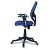 Goolda Low Back Ergonomic Chair in Blue Colour