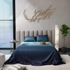 Stoa Paris Satin Bedsheets for Super King Size Bed with 2 Pillow Covers heets for Blue Teal