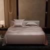 Stoa Paris Super King Size Bedsheet with 4 Pillow Covers  Size Cha Champagne