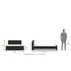 Wren Engineered Wood Queen Size Bed In Dark Wenge Finish