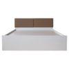 Havelock Engineered Wood Queen Size Bed In White Finish