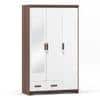 Miller Engineered Wood 3 Door Wardrobe With Mirror in Two Tone Finish