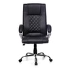 Adiko Sleek Executive Revolving Office Chair In Black