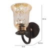 Eliante Modern Wall Lights Mild Steel, Glass & Glass Material Brown,Gold & Golden Finish