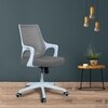 Xeanea Mid Back Ergonomic Chair in Grey Colour