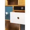 Rigen Multi Color Chest of Drawer
