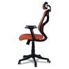 Zeeazyana High Back Ergonomic Chair in Orange Colour