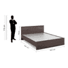 Asher Engineered Wood Queen Size Non Storage Bed In Choco Walnut Finish