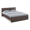 Asher Engineered Wood King Size Non Storage Bed In Choco Walnut Finish